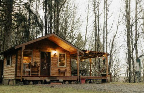 Craftsman Cabin with Columbia River views - Foto 18