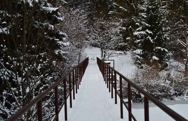 Ski-Lake Cottage Nízke Tatry - Foto 36