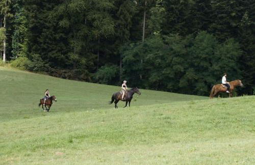 Bushof - Leben auf dem Land - Foto 31