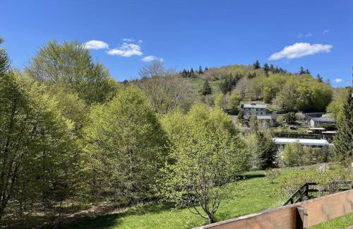 Studio le Coquelicot - Foto 11