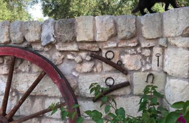 Agriturismo Masseria Saittole - Foto 26