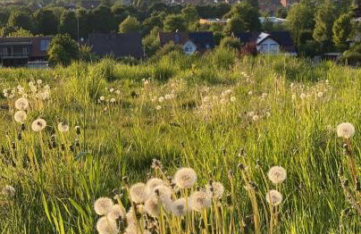 Wandern und Radeln im wunderschönen Teutoburger Wald - Natur Ferienpark 4 - Photo 34