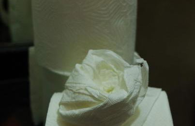 Lar do Biri Biri - Vila do Biri Biri/Diamantina MG - Foto 46