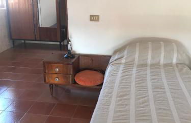 Tra gli ulivi - Foto 19