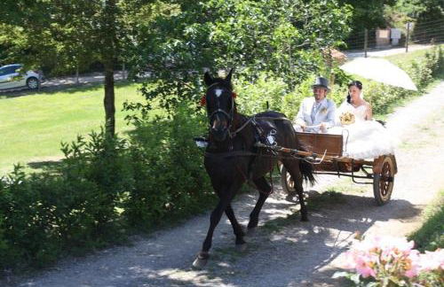 Agriturismo La Quercia - Foto 36