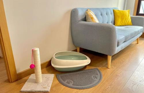 Estudio céntrico 2 con terraza y parking privado - Foto 23