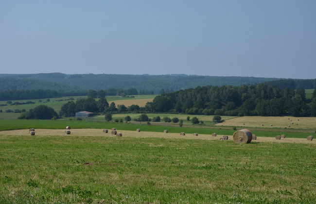 Spacious Retreat, Daverdisse - Photo 25