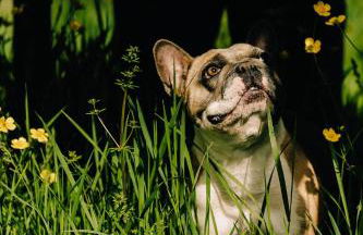 Asolo Norah's Hill Agri Rooms - Foto 29