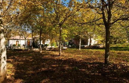 Andrea Sofi Guesthouse - Photo 22