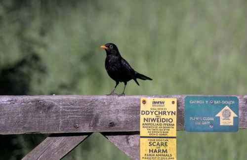 The Workshop- Eco Cottage by the Coastal Path - Photo 54