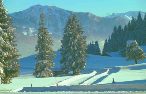 Urlaubshof Bechteler - Foto 25