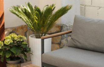 Starosądecki zakątek - Foto 17