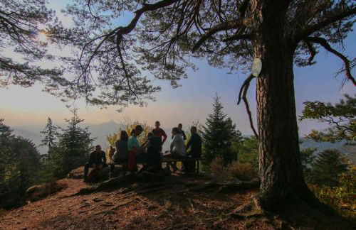 Chalet Beau Regard - Photo 39