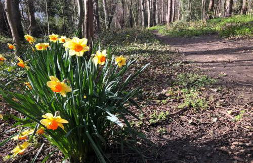 Stunning Studio in Corbridge, Northumberland - Foto 19