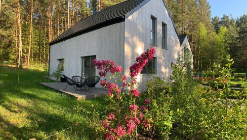 Masz Ci Las - Foto 4