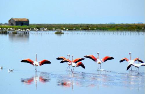 La Dolce Vita - Apartment with shared pool and large terrace - Foto 72