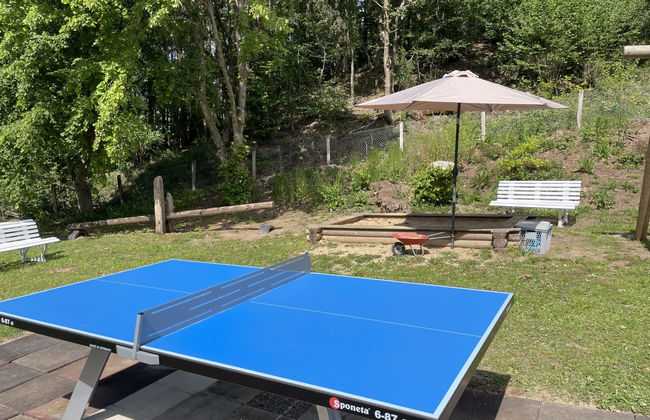 1 bedroom Apartment in Schönecken with garden and terrace - Photo 24