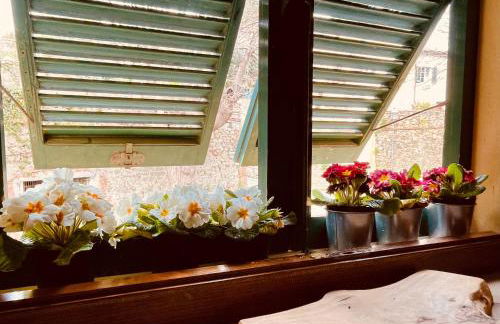 Le Giuggiole in Tuscany - Foto 32