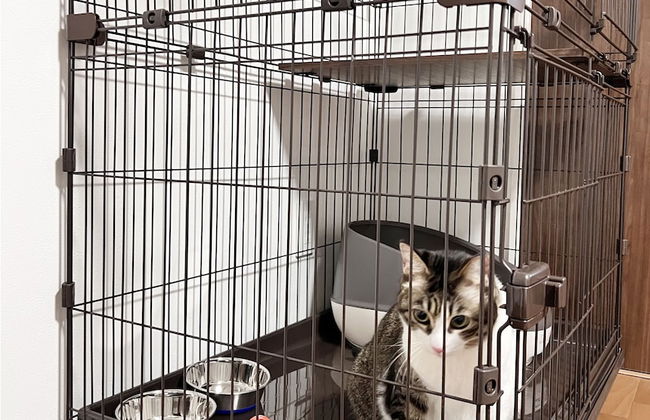 Coral Gate In Kume - Foto 20