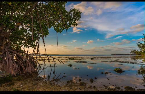 Sleeps 12 Private Pool & Gameroom near Casino, Beaches & Hard Rock Stadium - Foto 78