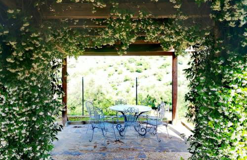 Fattoria Tolomei - Foto 9