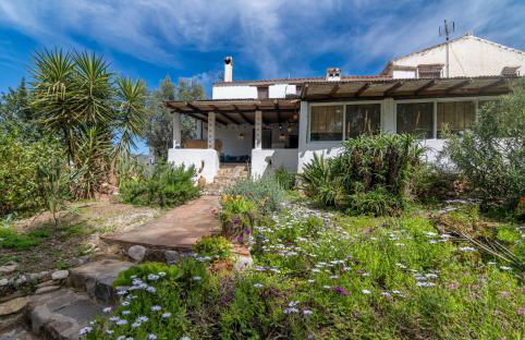 Finca el Agua da Vida (Los Eucaliptos & Los Olivos) - Foto 4