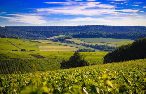 The Sparkling Castle - Foto 32