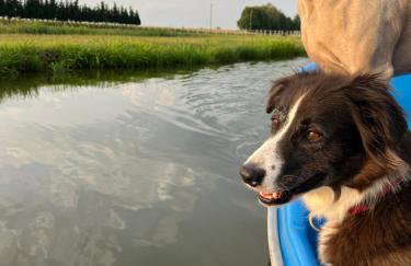 Tawerna Pod Kotwicą pokoje i domy wakacyjne - Foto 22