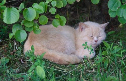 Spreebogenhof - Foto 36