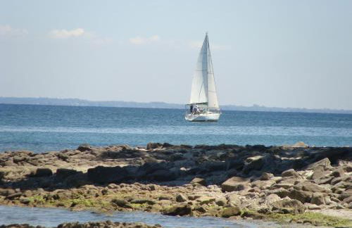 PENTY SERVANE - Foto 19