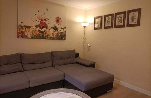 El mirador del río de Arnedillo - Foto 11