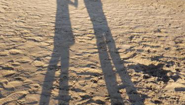 Exclusive Apartment - Playa de Marenys de Rafalcaid - Photo 2