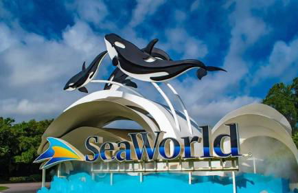 Entire Private Studio with King Bed, Bathroom, 1 Parking, Available Now - Foto 37