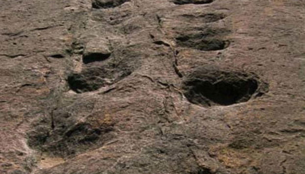 Huellas de dinosaurio