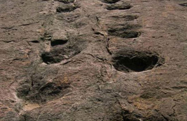 Excursión de 2 días a Toro Toro - Foto 4