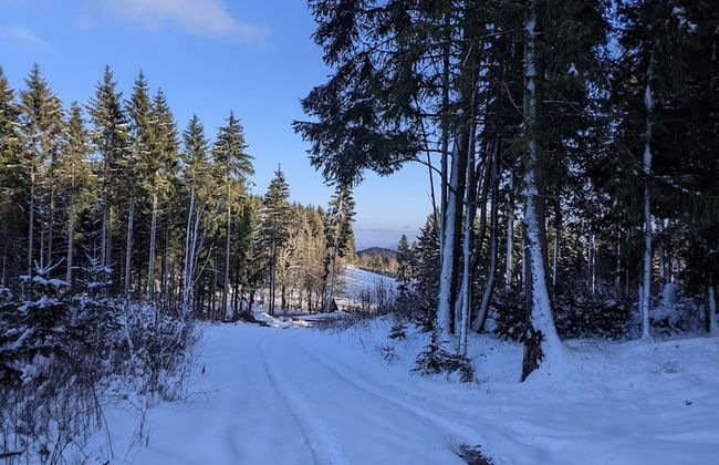 Charmantes Feriendomizil in Medebach - Foto 32