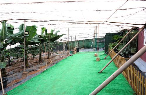 Rural Noalys - Foto 26