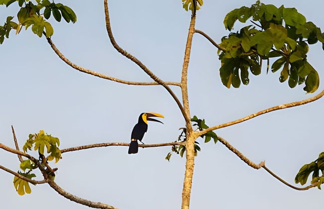 Balsa Nueva Lodge - Foto 8