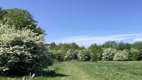 Bellows Mill - Photo 5