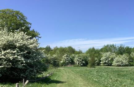 Bellows Mill - Photo 5