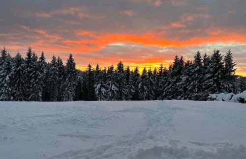 Ferienhaus zur Glocke - Foto 43