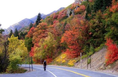 Salt City Getaway - Foto 68