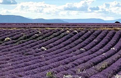 Le Nily Provence, T2 cosy rénové avec Clim, Extérieur et Parking - Foto 24