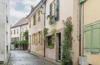 Grande Maison Cusset - Maison de ville et Studio - Foto 80