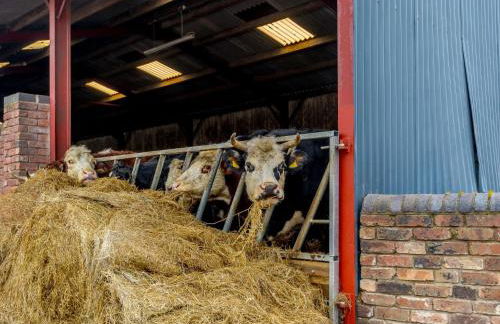 2 Bed in Leighton 86590 - Foto 15