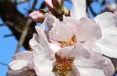 PRIORAT Ca la Iolanda "RELAX ESCALADA Y NATURALEZA" - Foto 48