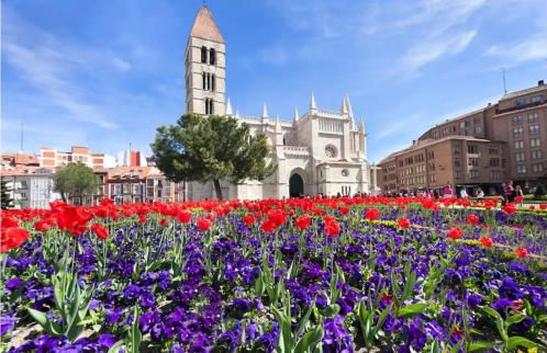 AdriVA Apartamento-Loft Imperial centro WIFI - Foto 35