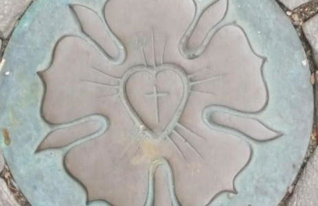 Apartment Lutherrose - Foto 12