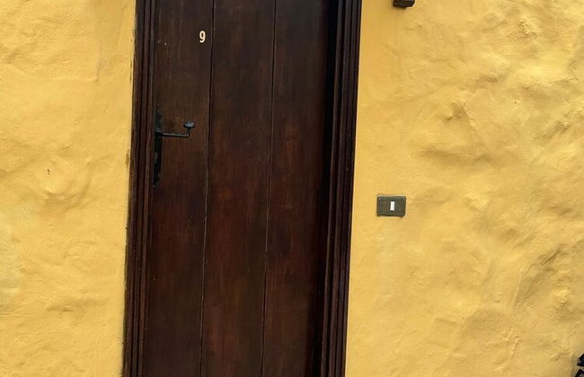 Oasis Hill Botanical Garden - Foto 39