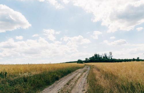 Wunderschönes Chalet mit Gästehaus in der Natur mit Fass-Sauna - Foto 28